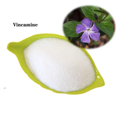 식물 추출물 CAS 1617-90-9 Vincamine의 고품질 의약 원료